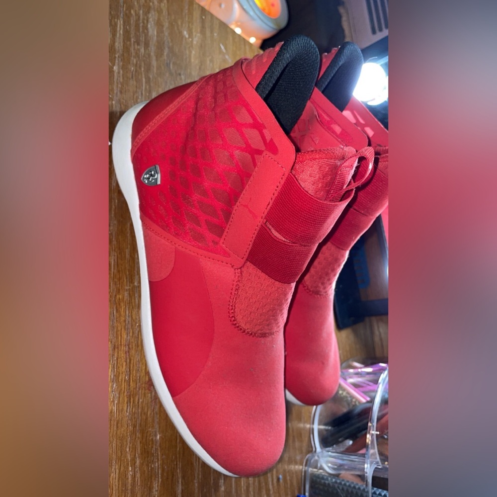 Ferrari pumas